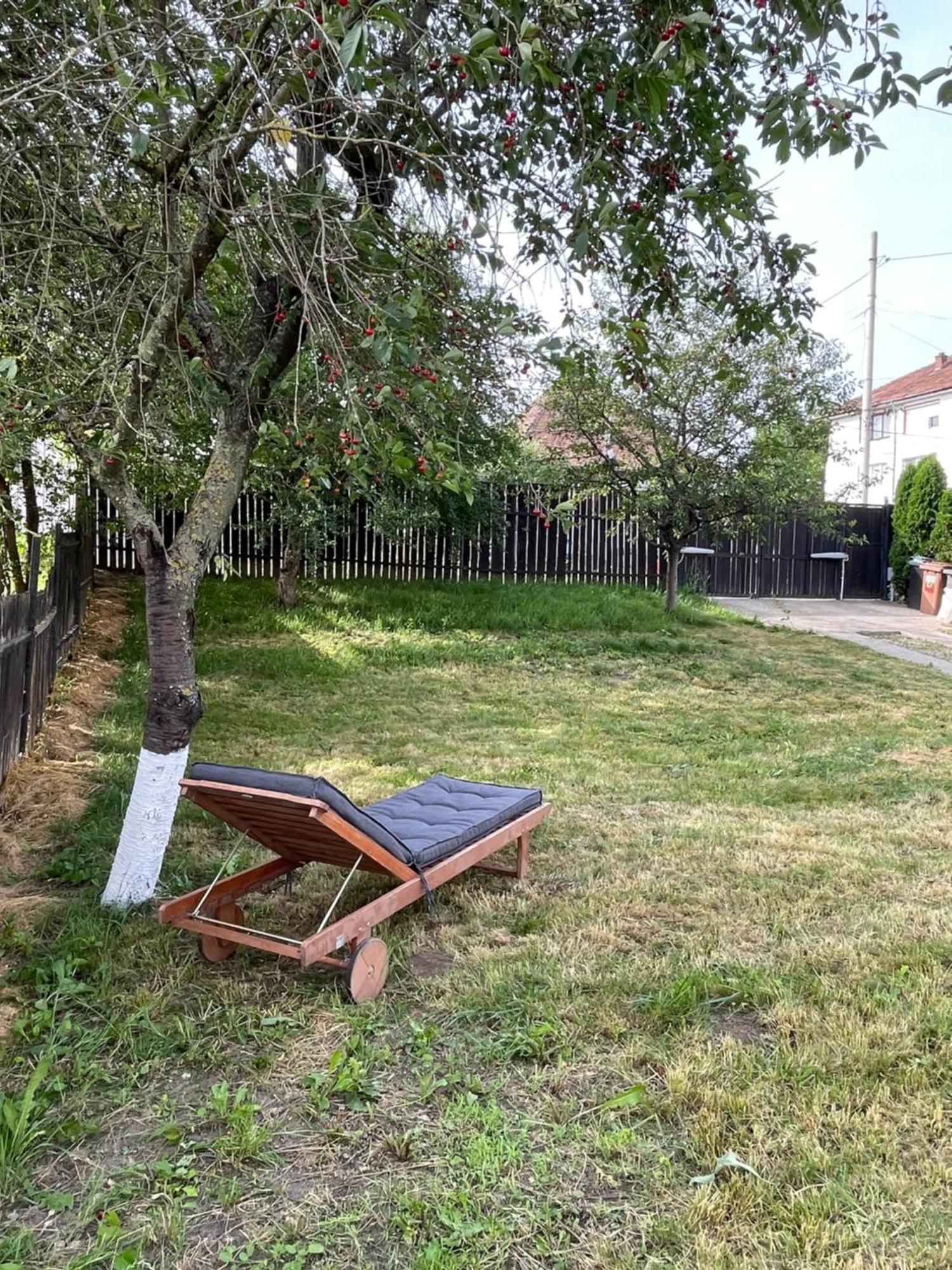 House Of Joven Villa Mediaş Екстериор снимка